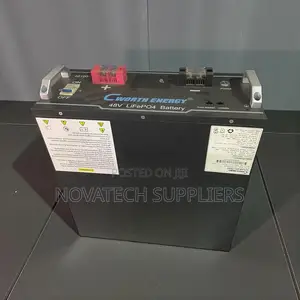Cworth 48v 100ah Lithium Solar Storage Battery