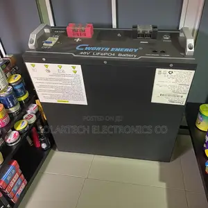 48v Cworth 100ah Lithium Iron Phosphate Battery Mega