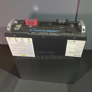 Cworth 48v Stable Power Lithium Battery-Heavy Duty
