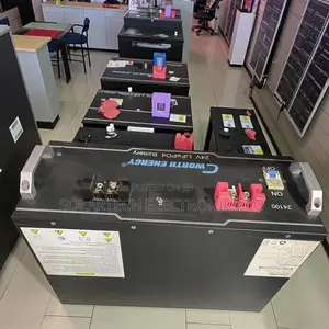 Cworth 2.5kwh Lifepo4 Deep Cycle Solar Battery