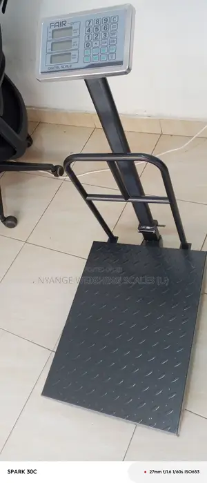 Gram Tcs Series Weigh Scale 300kg-350kg Weigh Durable Weighing Scales