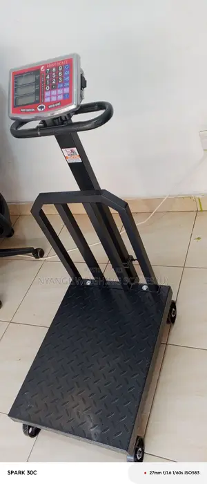 Sjs 500kg Weigh Commercial Weigh Scale Shop Balancing Weighing Scale