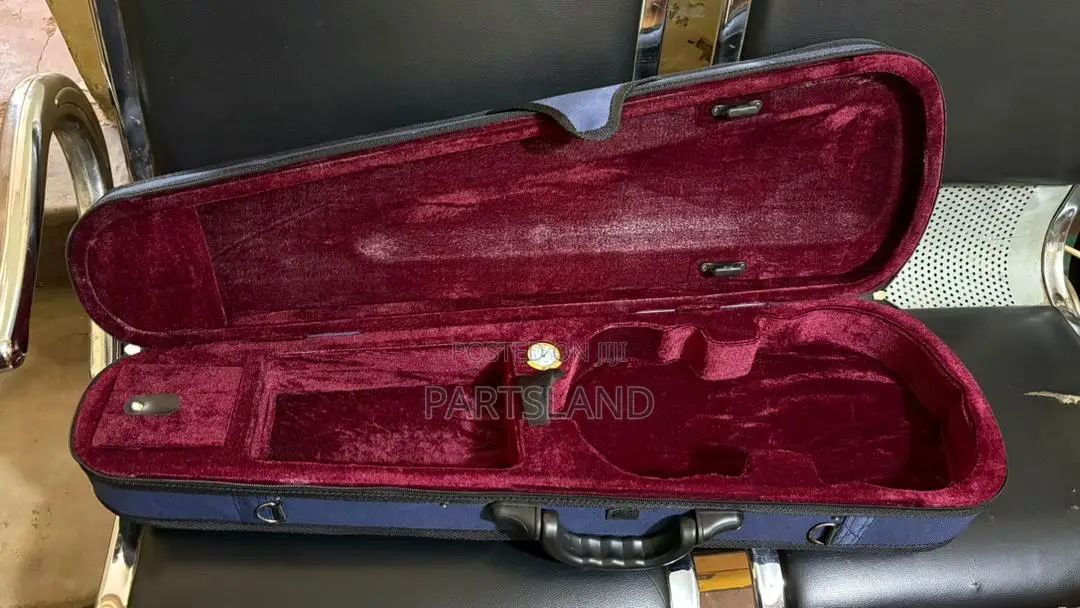 Violin Case