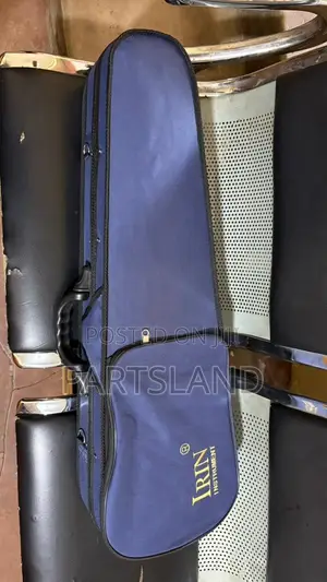 Violin Case