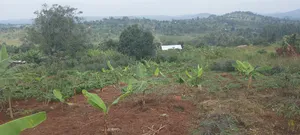 Plot 100*70. At Mpigi Boza , 14million , Negotiable. Electricity,Water