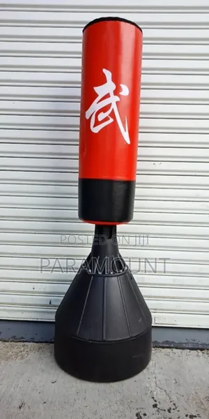 Standing Punching Bag