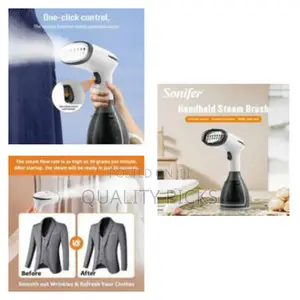 Handheld Garment Steamer With Removable Water Tank