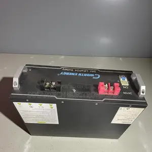High-Cycle 2.5kwh Cworth Solar Backup Battery With BMS