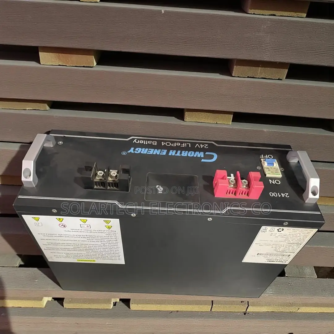 Smart Energy 2.5kwh Cworth Lithium Iron Phosphate Battery and 100ah