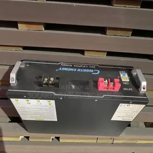 Smart Energy 2.5kwh Cworth Lithium Iron Phosphate Battery and 100ah