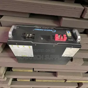 Cworth 2.5kwh Lifepo4 Deep Cycle Solar Battery