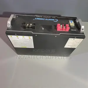 24v Cworth Lithium Phosphate Power Storage Battery