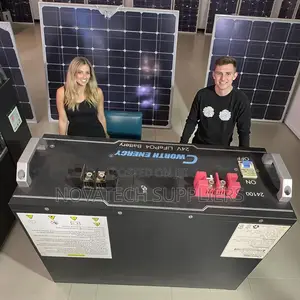 Long-Life Cworth 2.5kwh Solar Storage Battery and 100 Battery Capacity