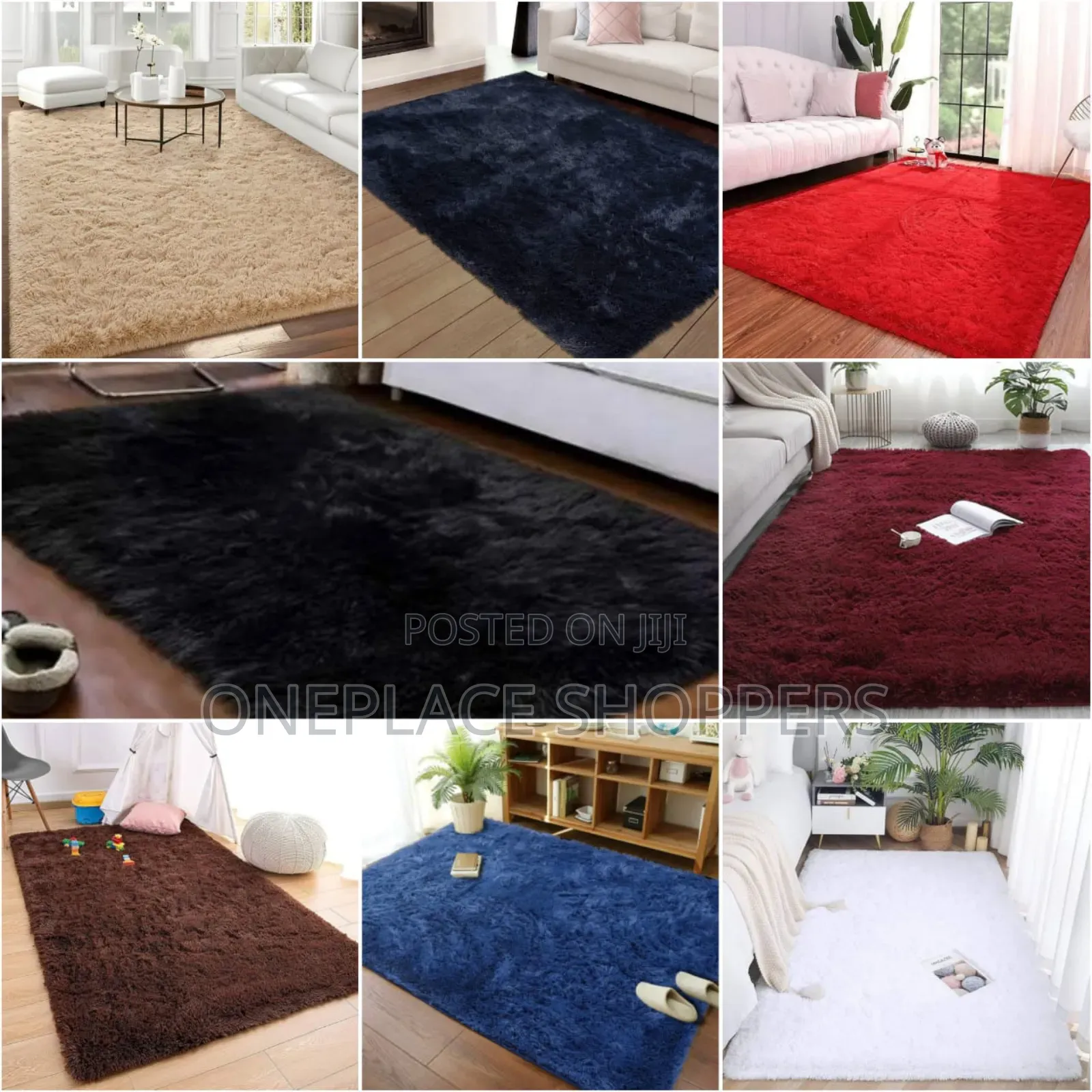 Shaggy Carpet