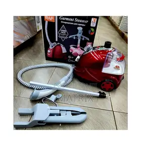Garment Steamer Powerful