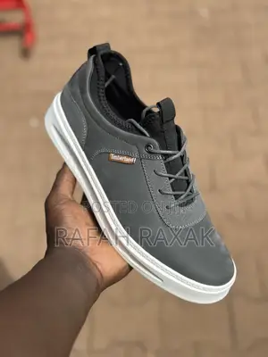 Men’S Grey Timberland Casual Low Sneakers