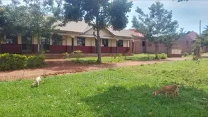 Jinja a Secondary School for Sale at 800m on 3 Acres of Land