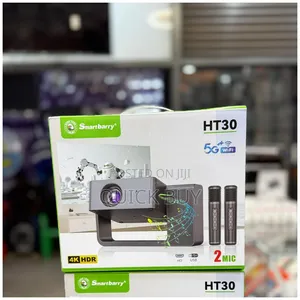 Smartbarry Ht30 With 2 Mic Projector