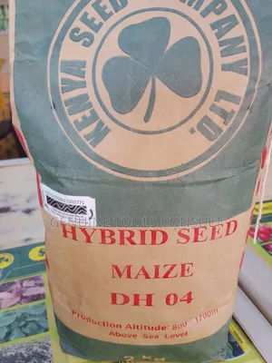 Hybrid Maize Seeds