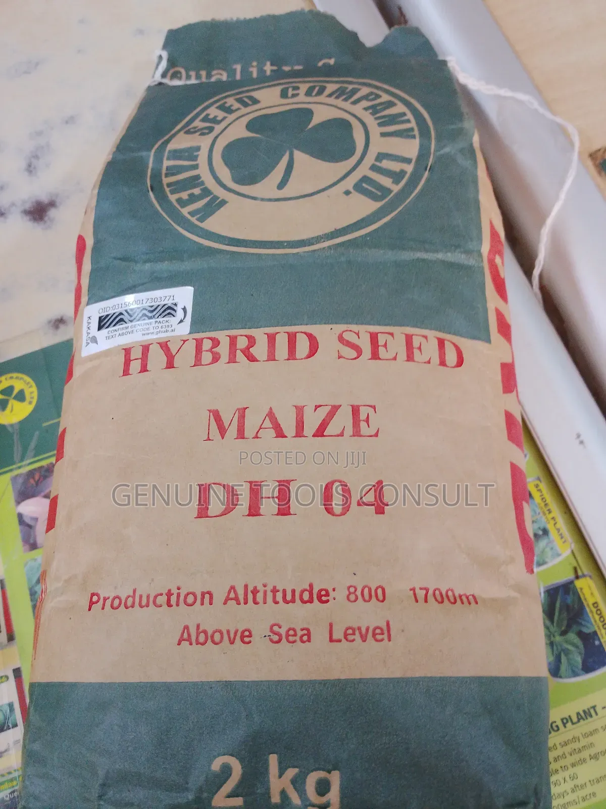 Hybrid Maize Seeds