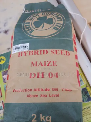 Hybrid Maize Seeds
