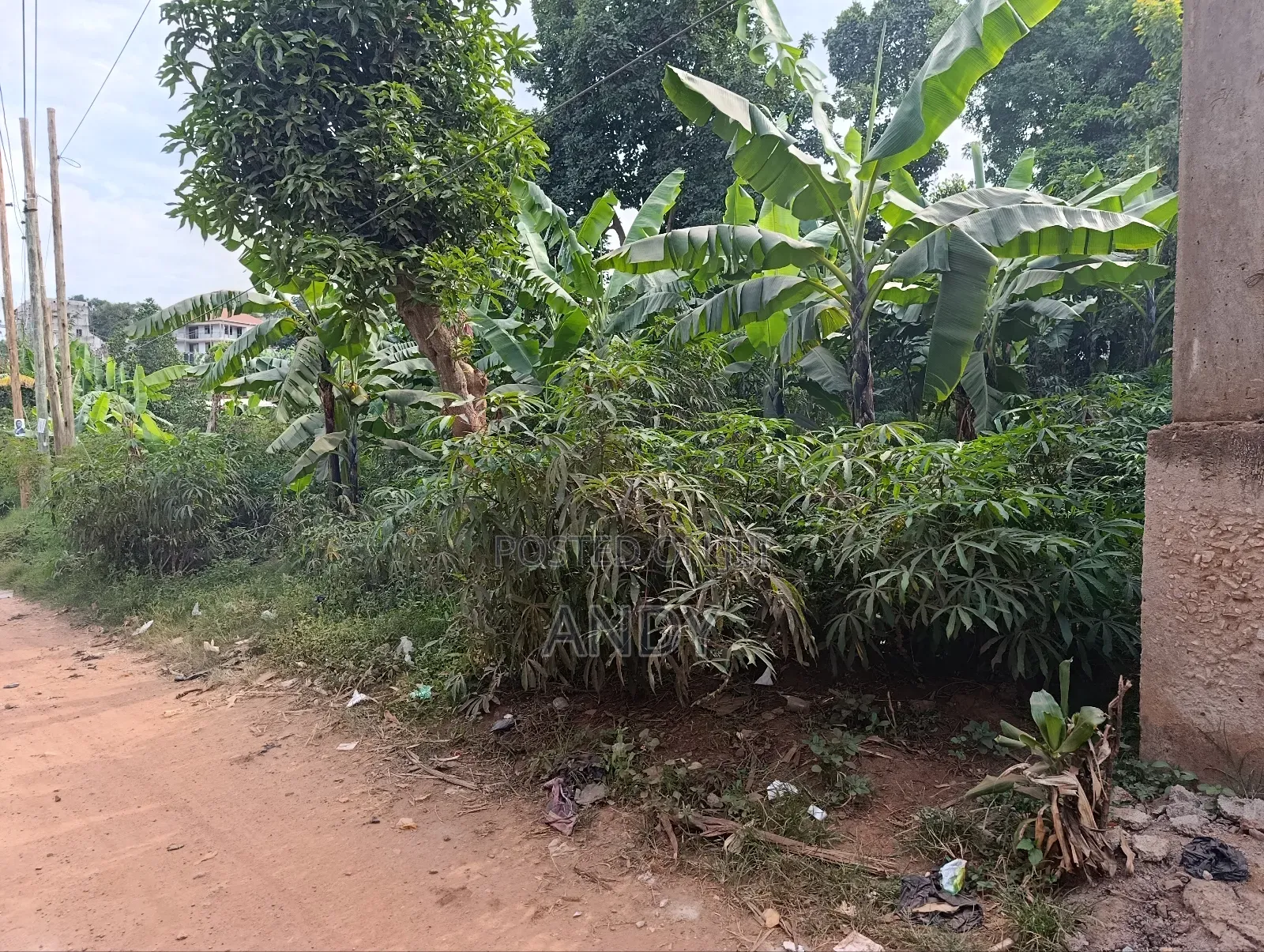 An Acre Kitende Lumuli Titled