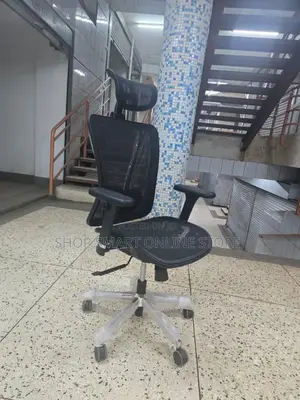 Back Support Adjustable Office Chairs Office Chairs