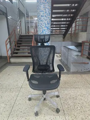 Back Support Adjustable Office Chairs Office Chairs