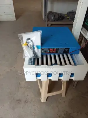 64 Eggs Incubator