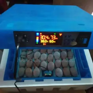 64 Eggs Incubator