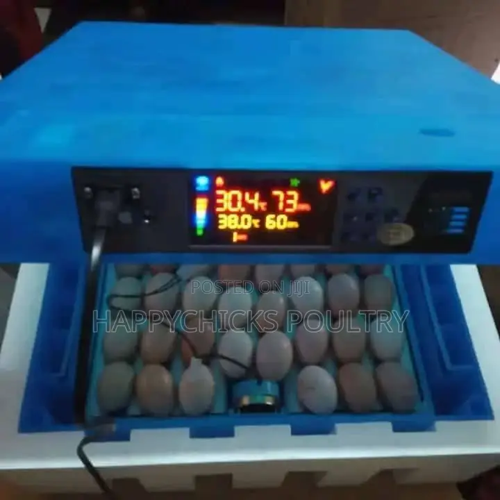 64 Eggs Incubator