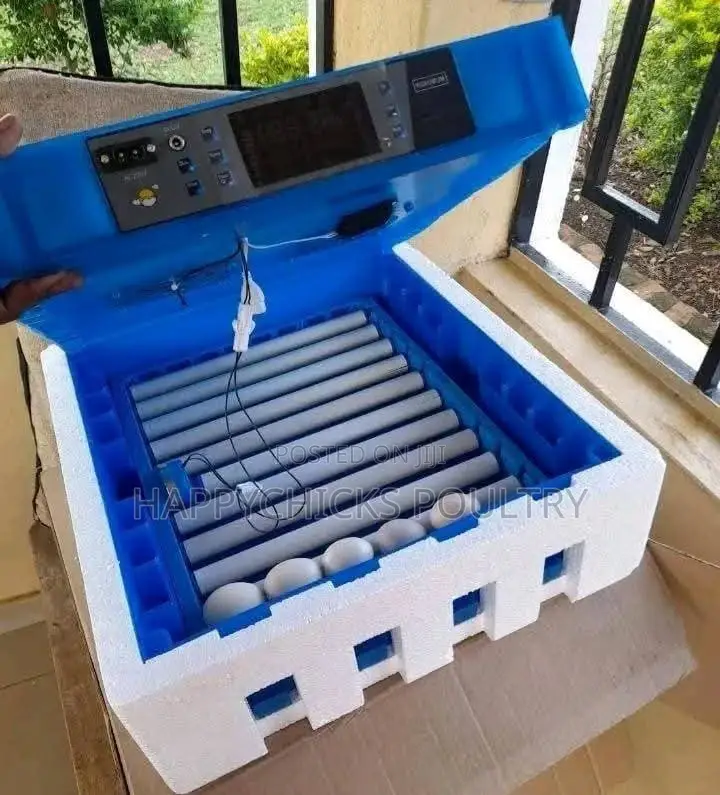 64 Eggs Incubator