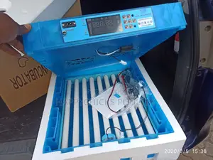64 Eggs Incubator