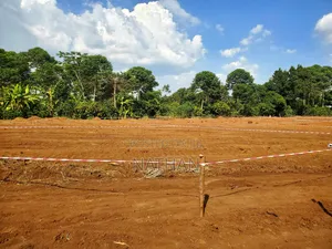 Kadaama Cit Ne Century Property Real Estate LTD