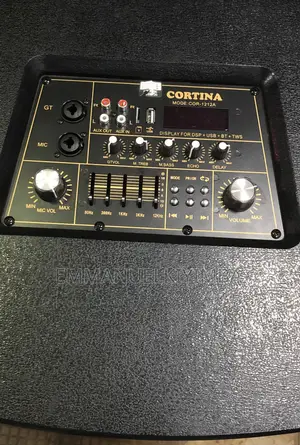 Cortina Double Amplified Speaker Full Range