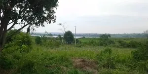 5 Acres to 50 Acres of Land on Lake in Buwoya Nkokonjeru Katosi Road