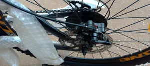 Crane Adults Mountain Bike