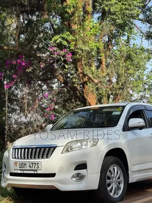 Toyota Vanguard 2010 White