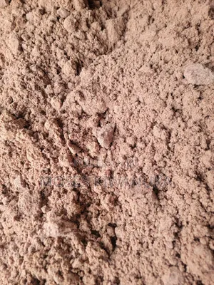 Fresh Groundnuts Seeds Good for Consumption at Home