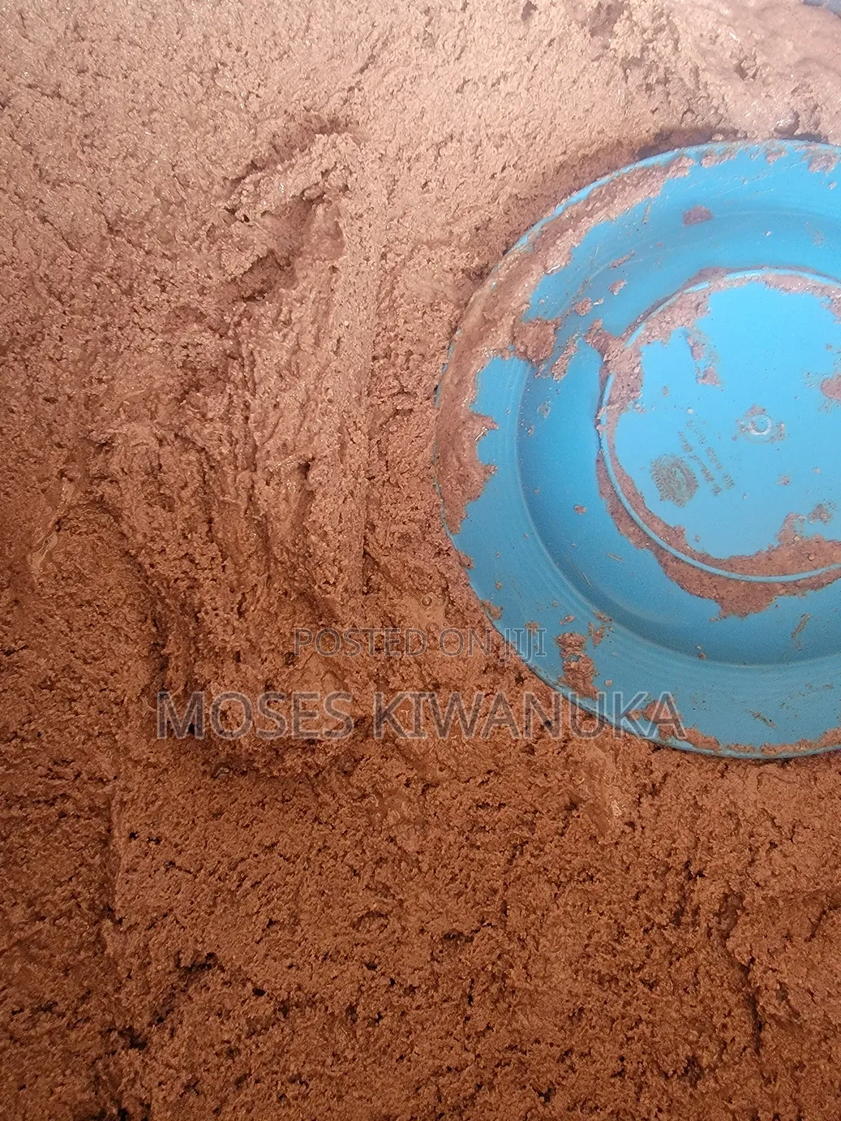 Fresh Groundnuts Seeds Good for Consumption at Home