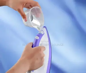 Electric Steam Iron