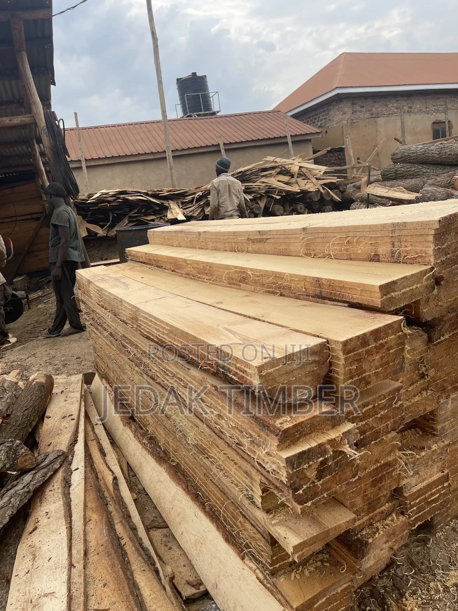 Timber Every Size