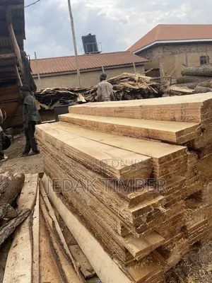 Timber Every Size