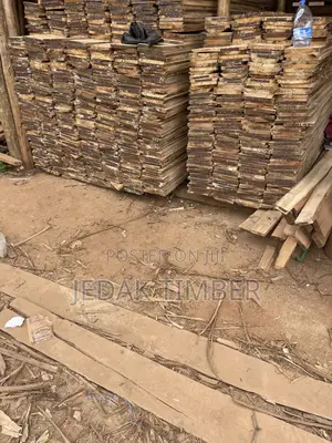 Timber Every Size