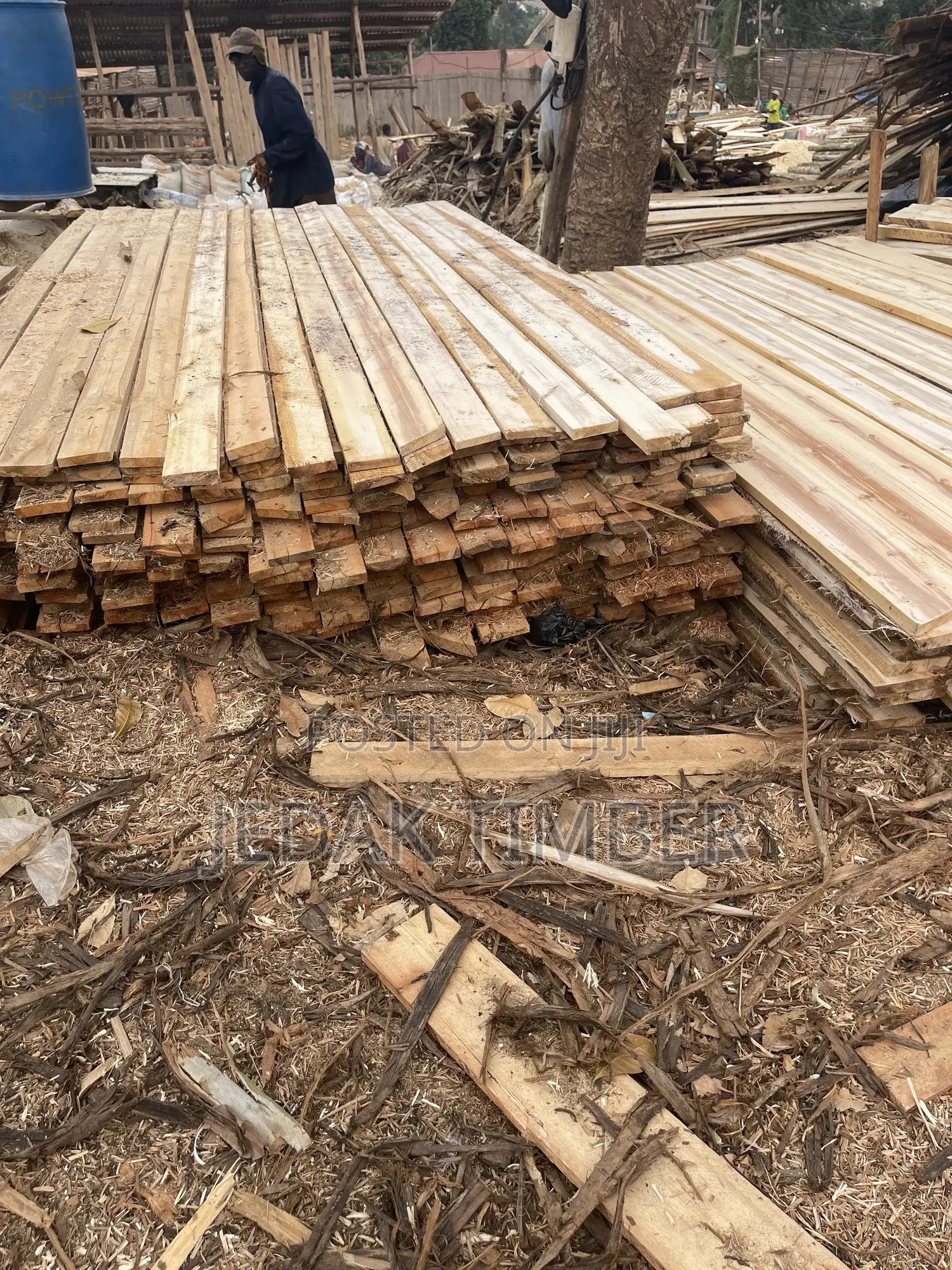 Timber Every Size