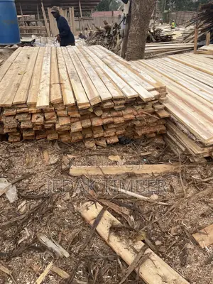 Timber Every Size