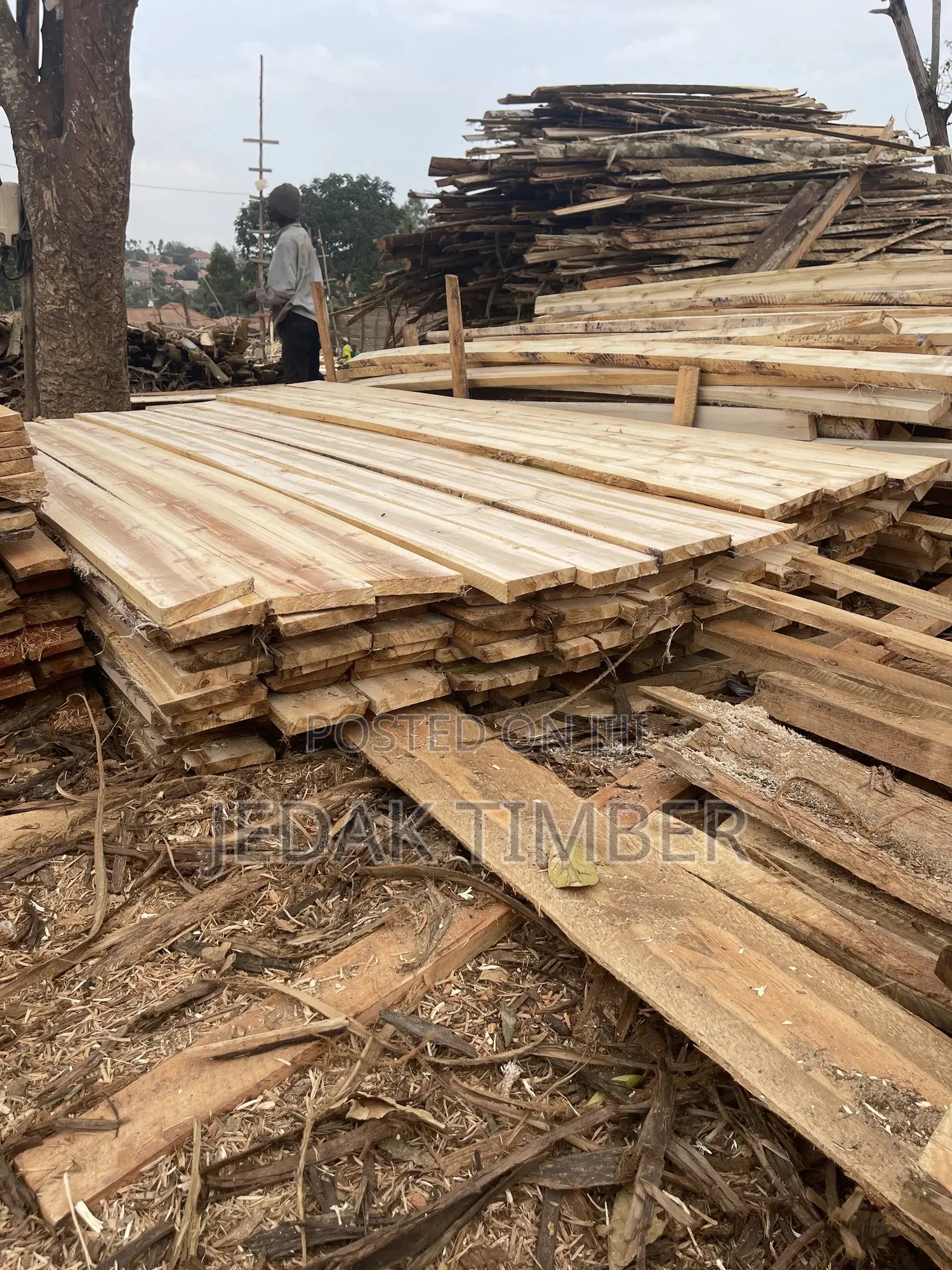Timber Every Size