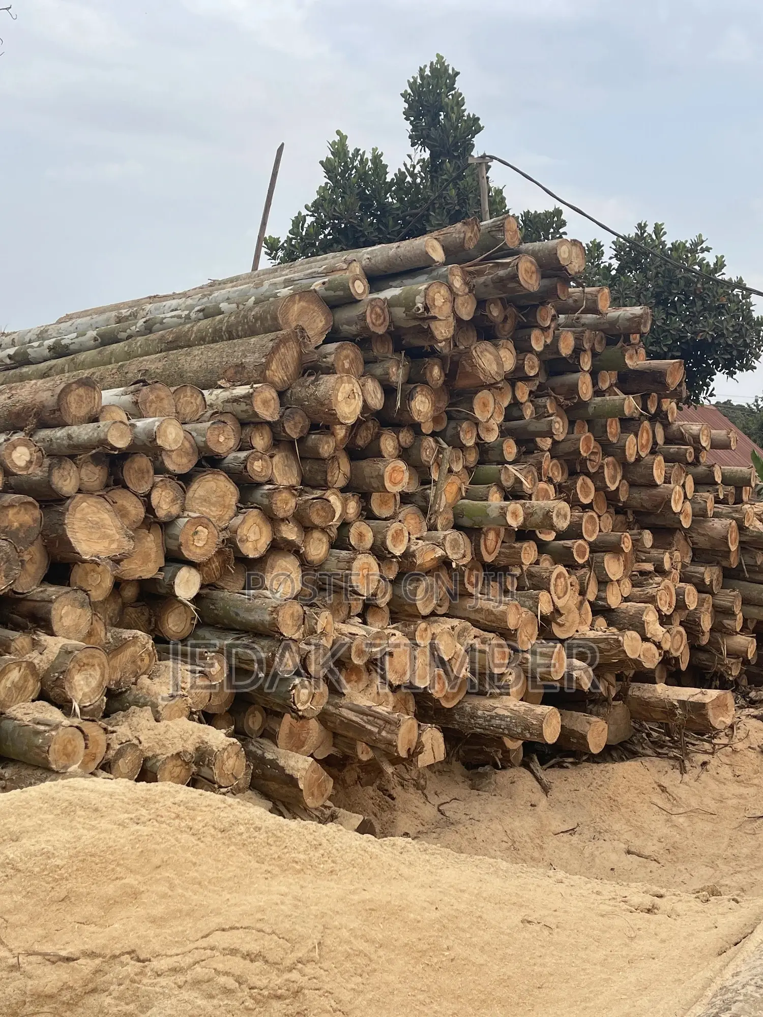 Timber Every Size