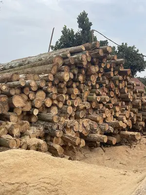 Timber Every Size
