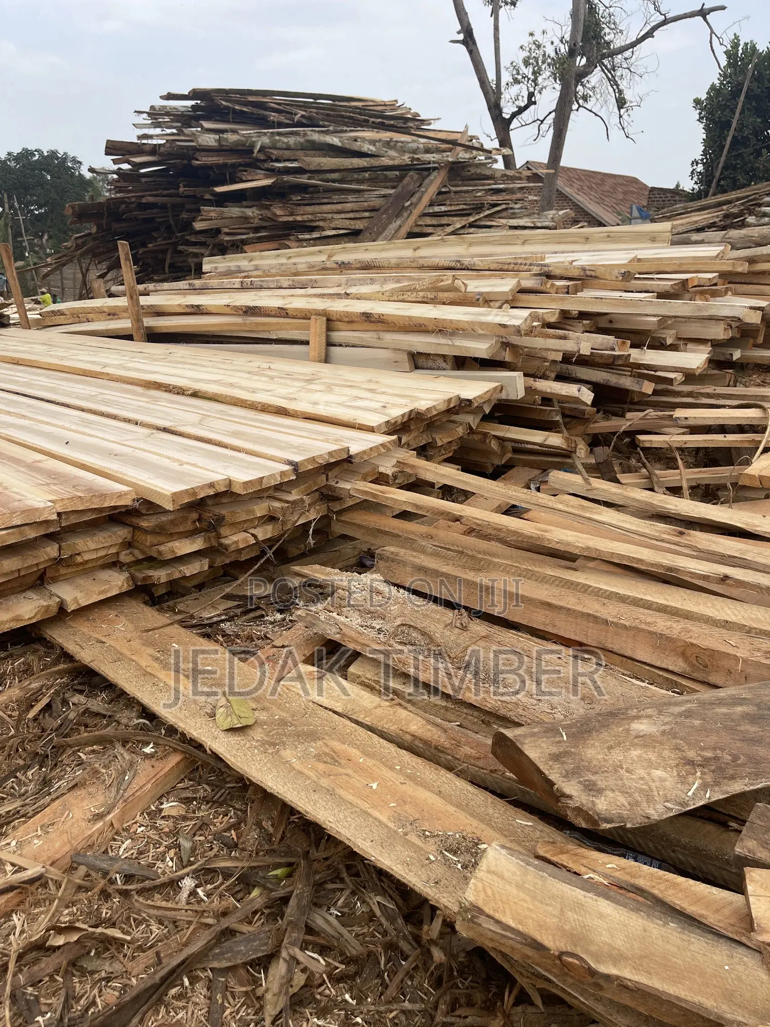 Timber Every Size